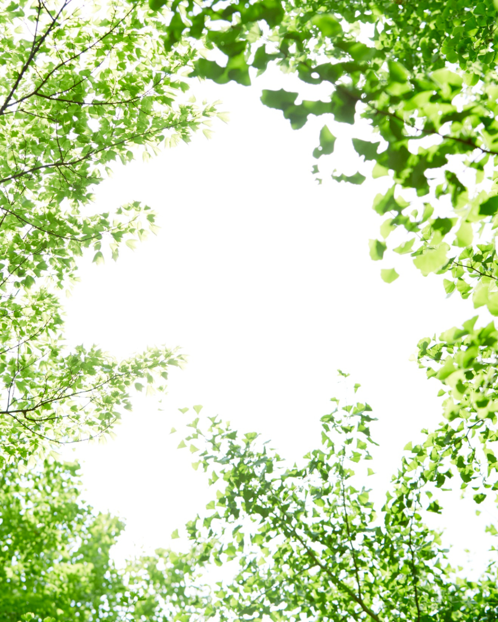 名称未設定のデザイン (22)